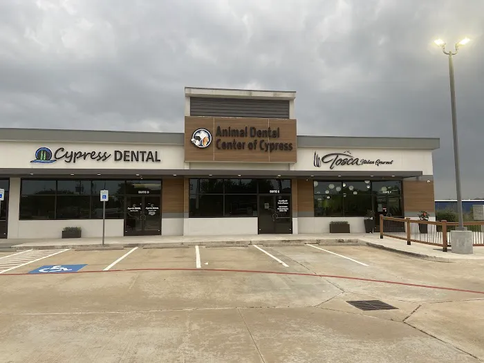Animal Dental Center of Cypress 12