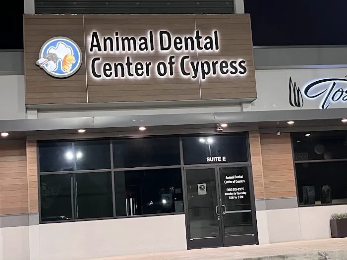 Animal Dental Center of Cypress 12