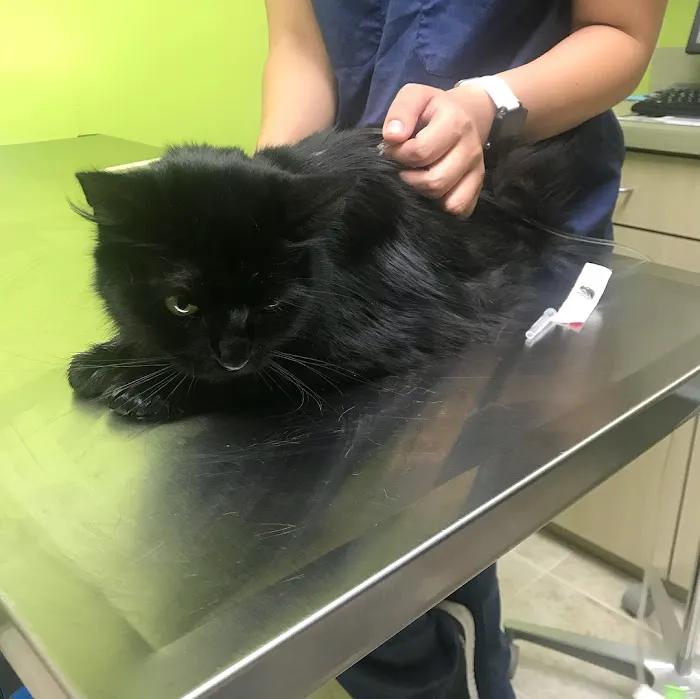 Neighbors' Animal Wellness Clinic 12