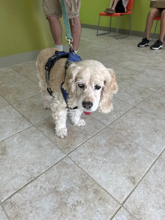 Neighbors' Animal Wellness Clinic 12