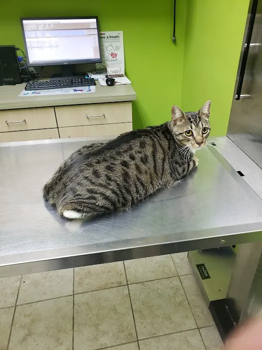 Neighbors' Animal Wellness Clinic 12