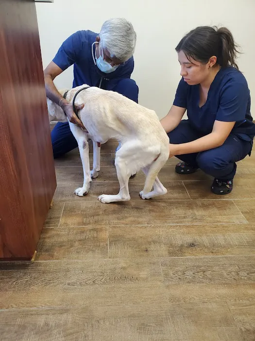 Affordable Pet Clinic Katy 12