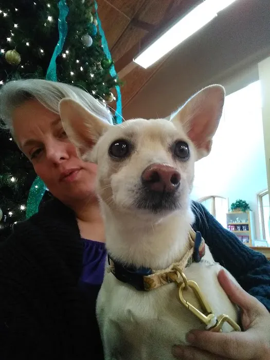 Mayde Creek Animal Health Center 12