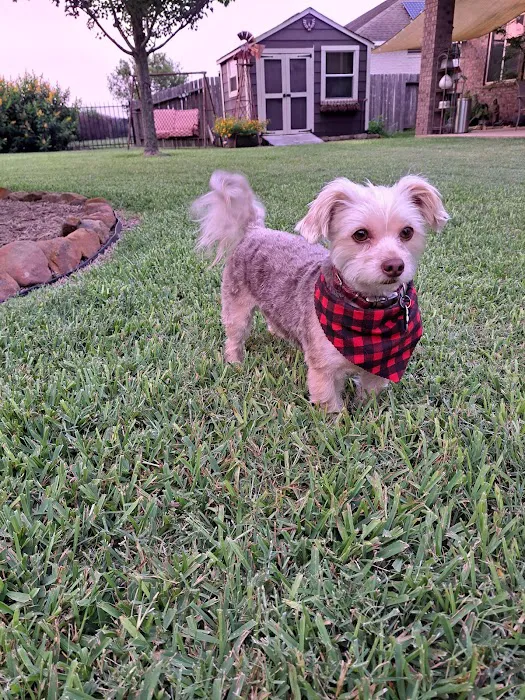 Mayde Creek Animal Health Center 12