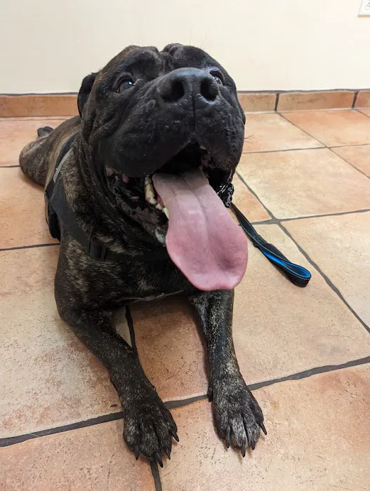 Mayde Creek Animal Health Center 12