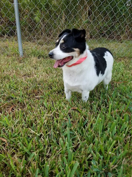 Mayde Creek Animal Health Center 12