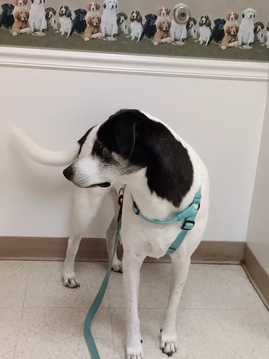 Fry Road Animal Clinic 12