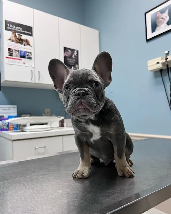 Fry Road Animal Clinic 12