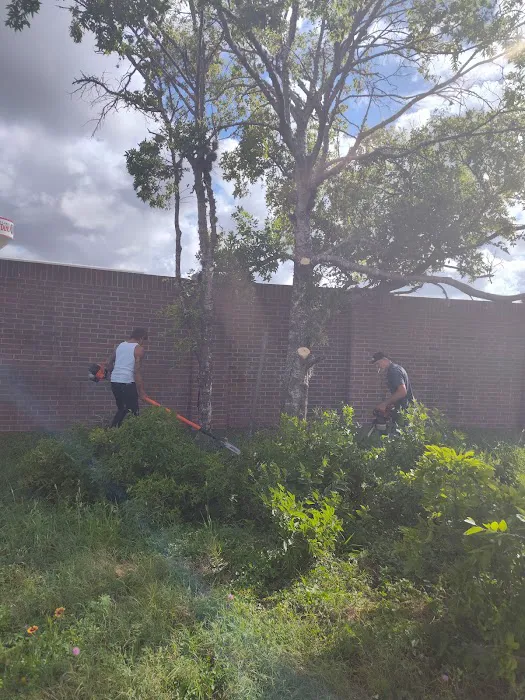 Fry Road Animal Clinic 12