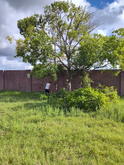 Fry Road Animal Clinic 12
