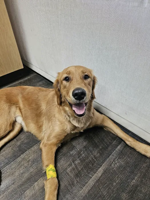 BluePearl Pet Hospital Katy 12
