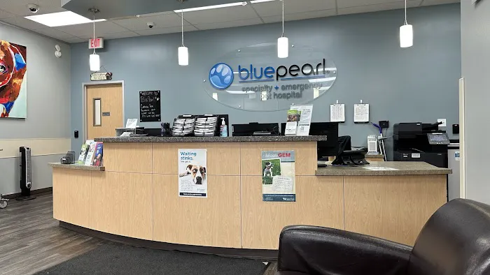 BluePearl Pet Hospital Katy 12