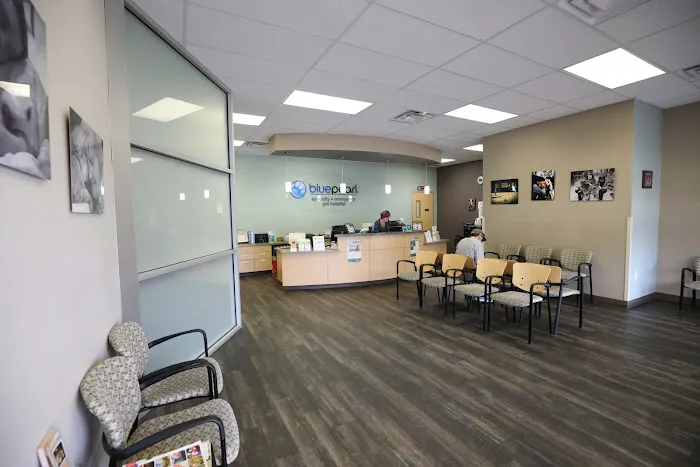 BluePearl Pet Hospital Katy 12