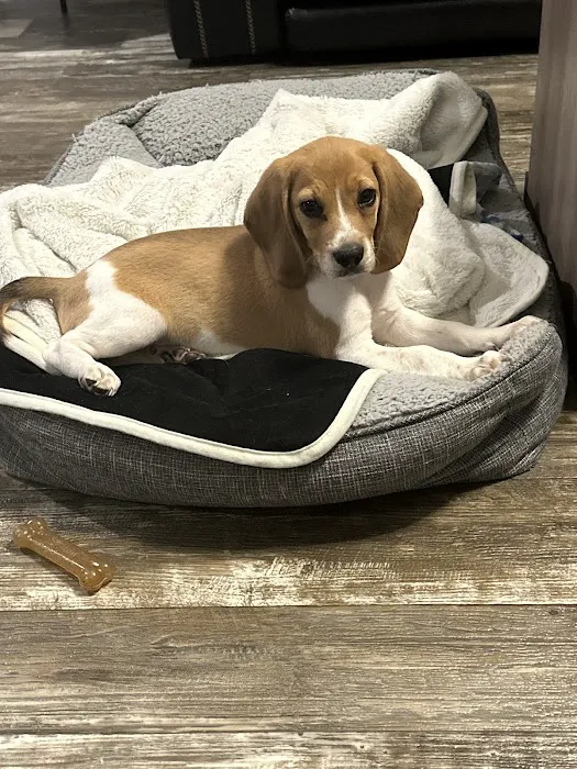 Banfield Pet Hospital 12