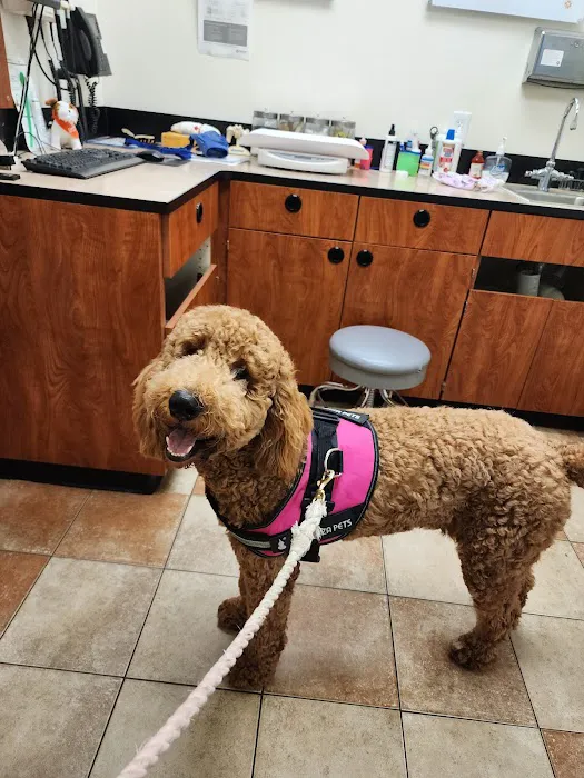 Banfield Pet Hospital 12