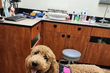 Banfield Pet Hospital
