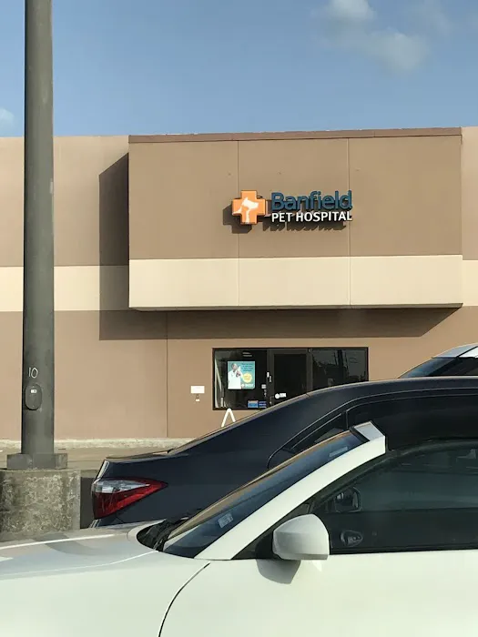Banfield Pet Hospital 12