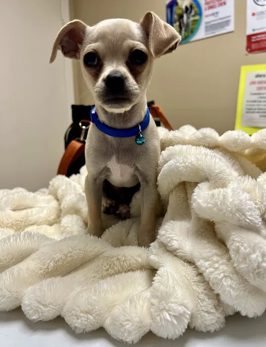 Alief Animal Hospital 12