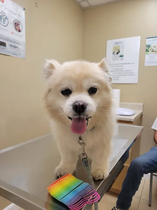 Alief Animal Hospital 12
