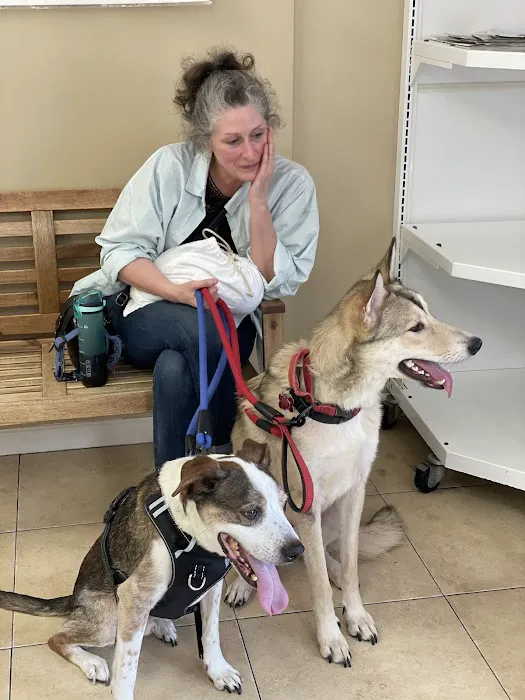Alief Animal Hospital 12