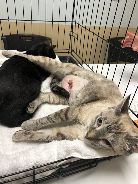 Alief Animal Hospital 12