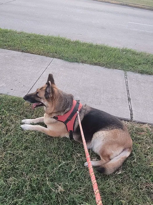 Alief Animal Hospital 12