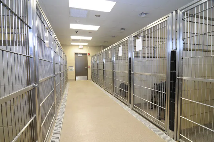 Westbury Animal Hospital 12