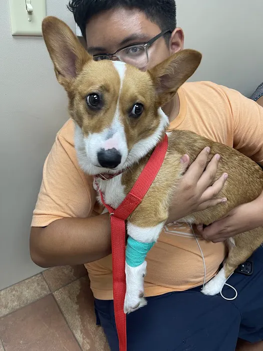 Westbury Animal Hospital 12
