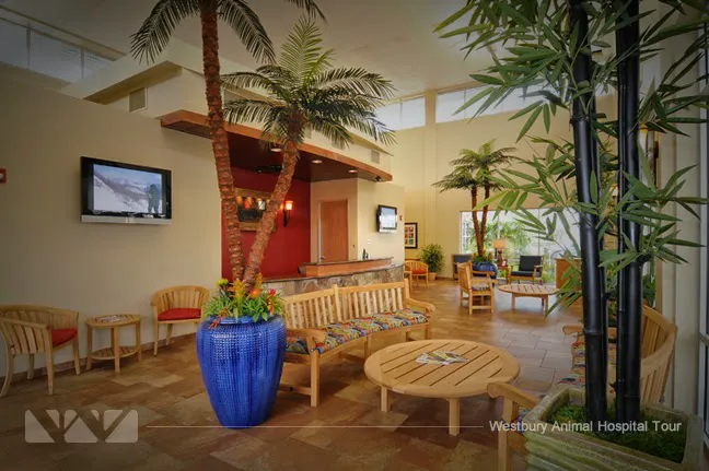 Westbury Animal Hospital 12