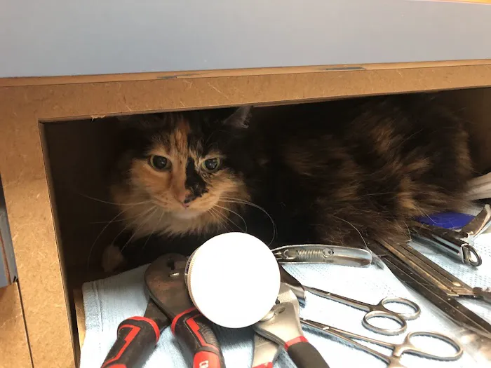 Westbury Animal Hospital 12