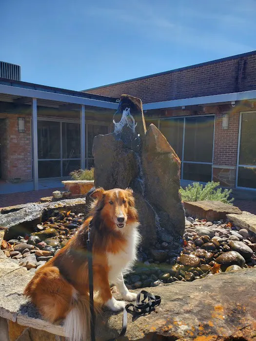 Westbury Animal Hospital 12