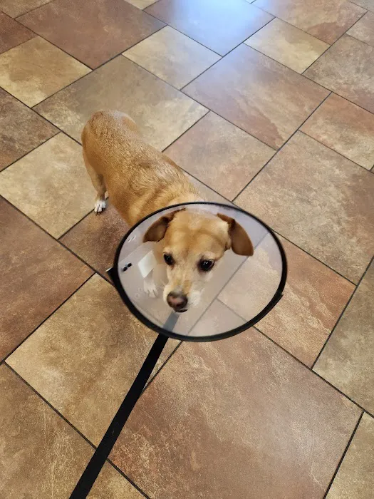 Westbury Animal Hospital 12