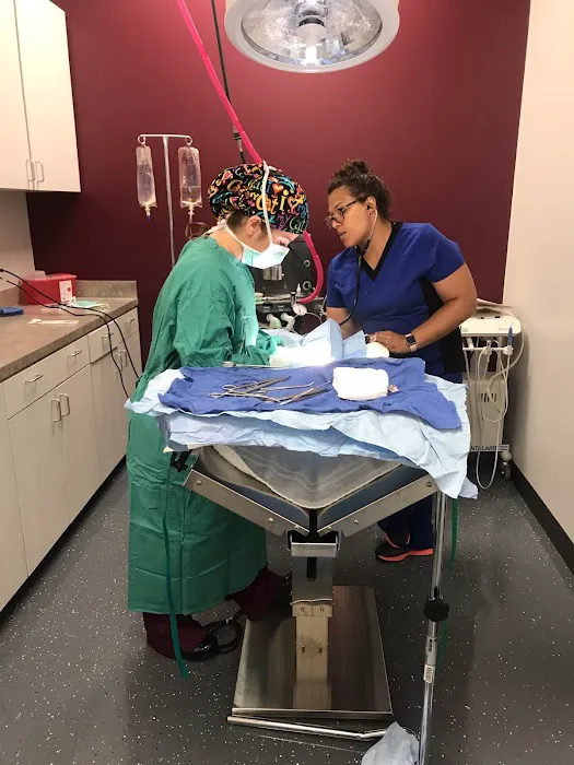 Above & Beyond Veterinary Hospital 12