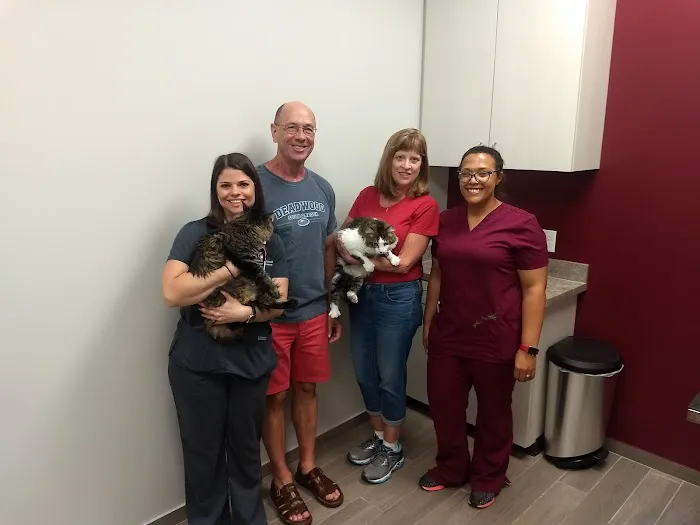 Above & Beyond Veterinary Hospital 12