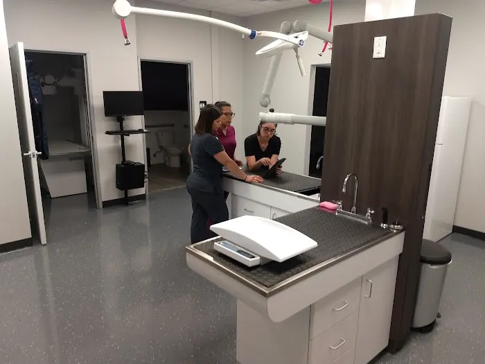 Above & Beyond Veterinary Hospital 12