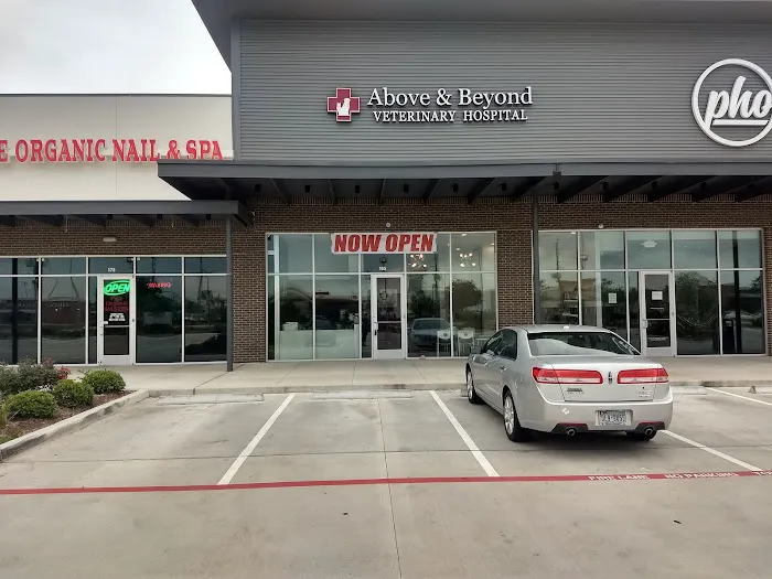 Above & Beyond Veterinary Hospital 12