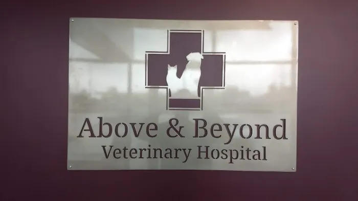 Above & Beyond Veterinary Hospital 12