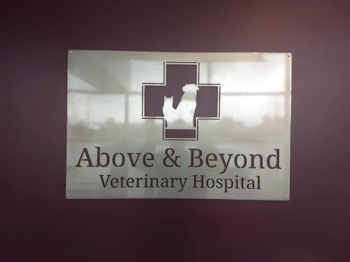 Above & Beyond Veterinary Hospital 12