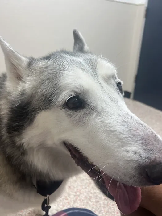 Houston Humane Society Animal Clinic 3
