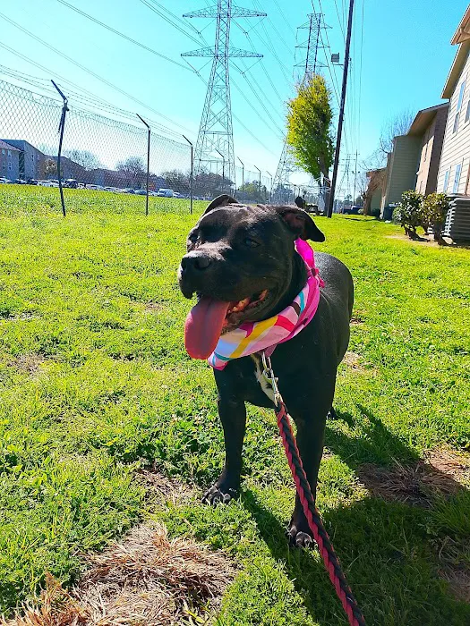 Houston Humane Society Animal Clinic 9