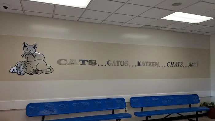 Houston Humane Society Animal Clinic 7