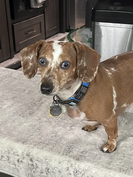 Parkwood Animal Hospital & Boarding 12