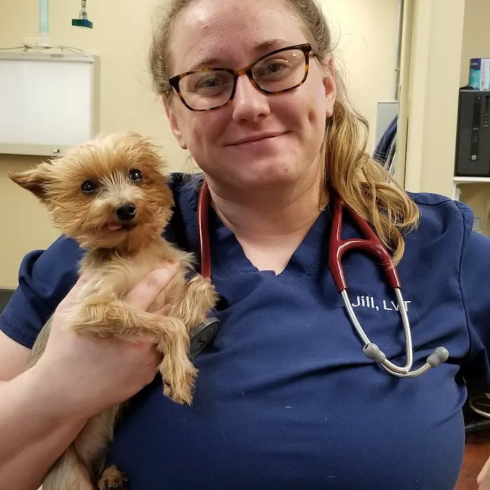 Parkwood Animal Hospital & Boarding 12