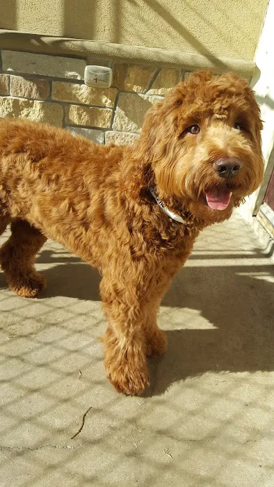 Parkwood Animal Hospital & Boarding 12
