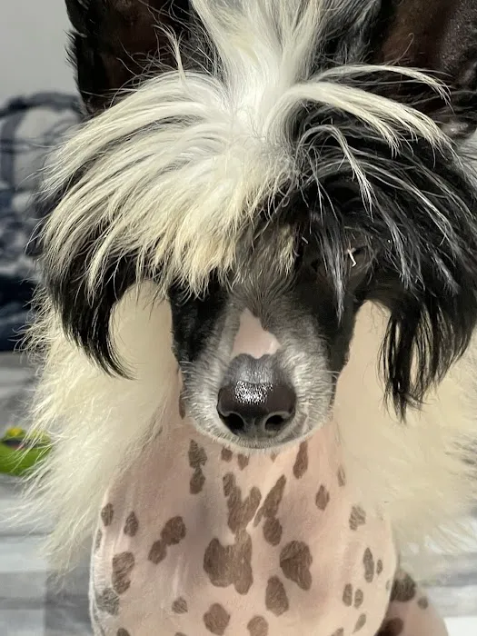 Banfield Pet Hospital 12