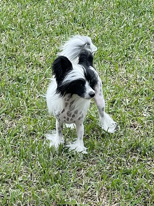 Banfield Pet Hospital 12