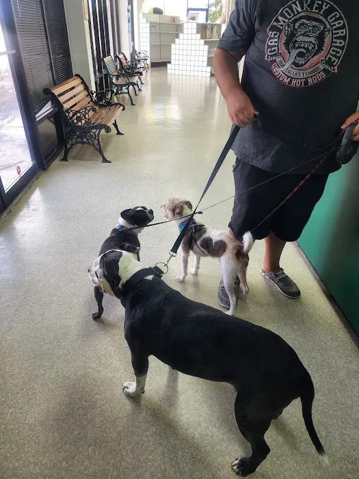 Pet Vet Animal Hospitals - Baybrook Mall 12