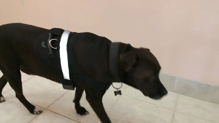 Alvin-Friendswood Veterinary Center 12