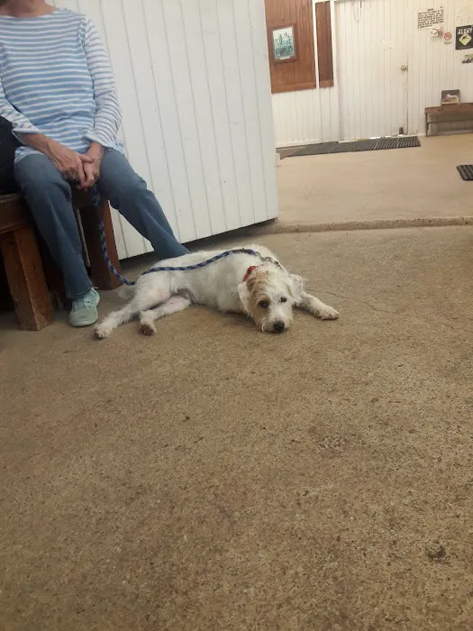 Abel Veterinary Services 12
