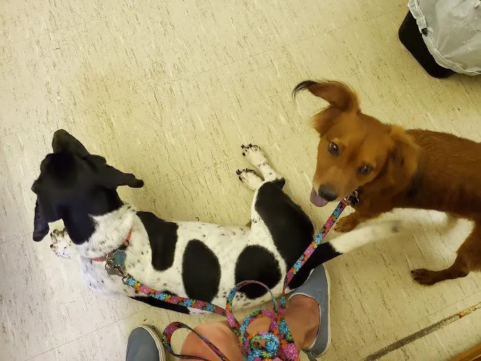SNIP of Texas Spay/Neuter 12